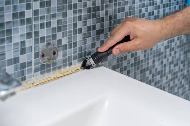 Best Mold Remediation for Specific Building Types in Ferndale, CA